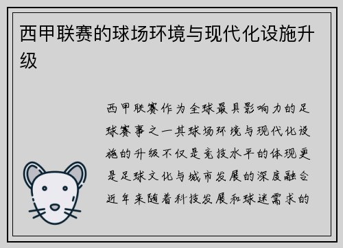 西甲联赛的球场环境与现代化设施升级